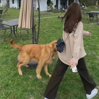 整人频道